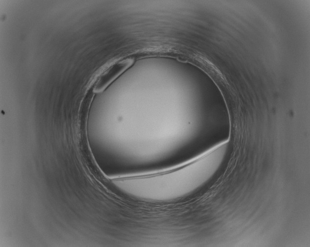 X0000071360484200606230841
