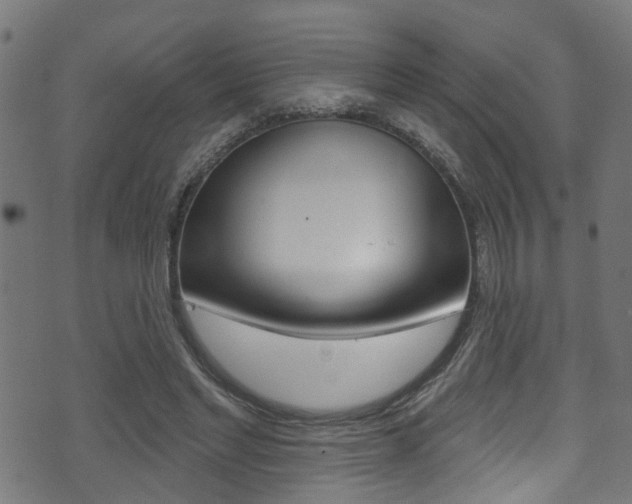 X0000071360493200606230841