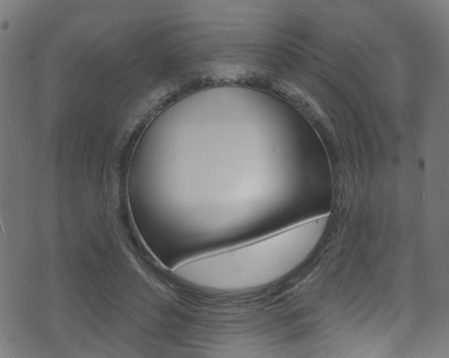 X0000071360496200606230841