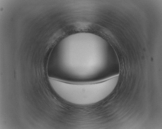 X0000071360508200606230841
