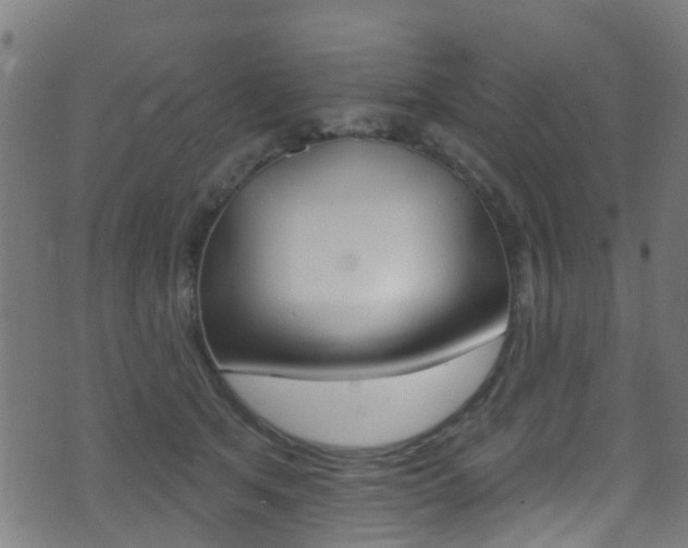 X0000071360513200606230841