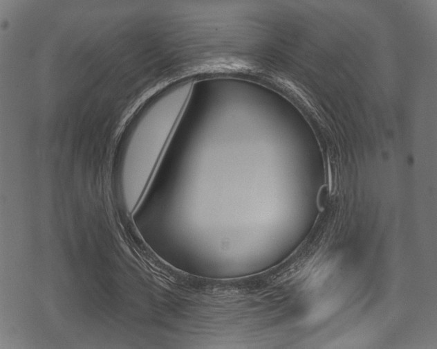 X0000071360531200606230840