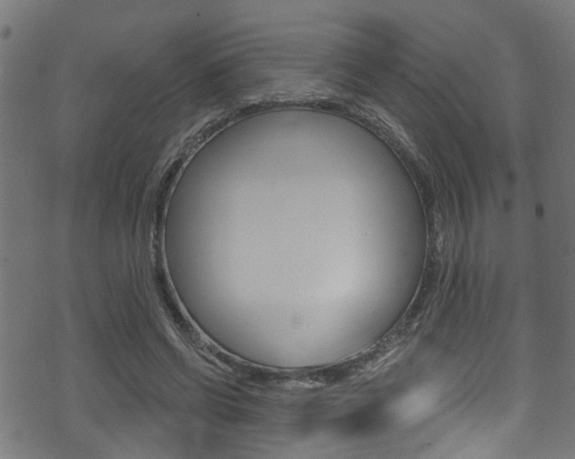 X0000071360542200606230840