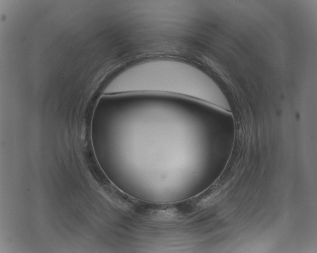 X0000071360548200606230840