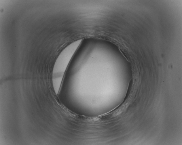X0000071360576200606230841