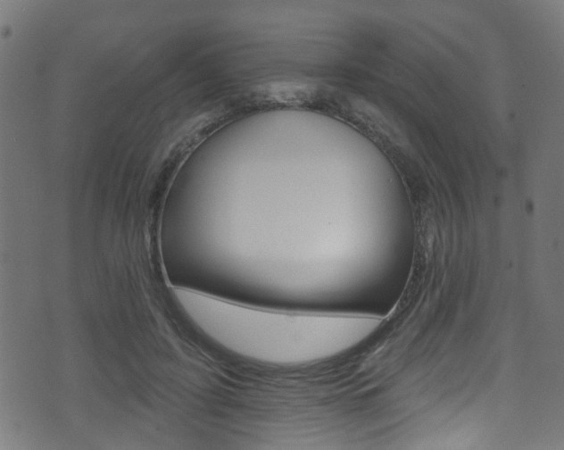 X0000071360595200606230839