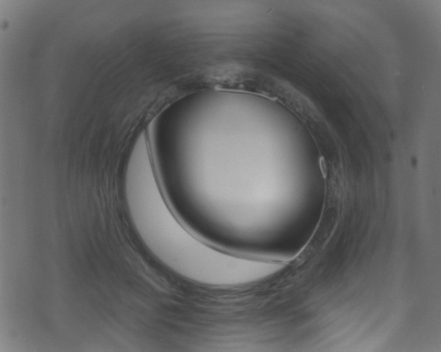X0000071360601200606230839