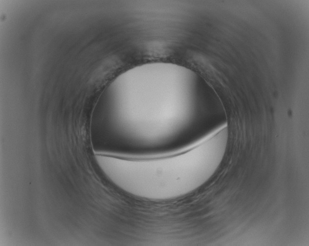 X0000071360608200606230839