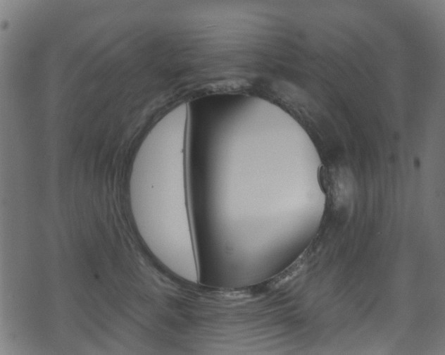 X0000071360619200606230839
