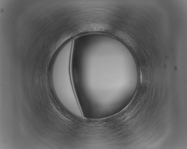 X0000071360627200606230838