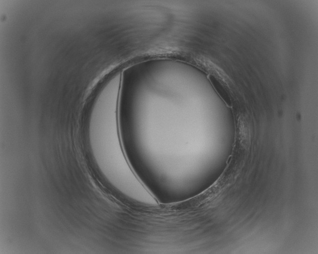 X0000071360684200606230838