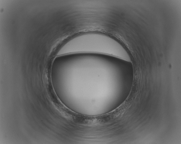X0000071360688200606230838