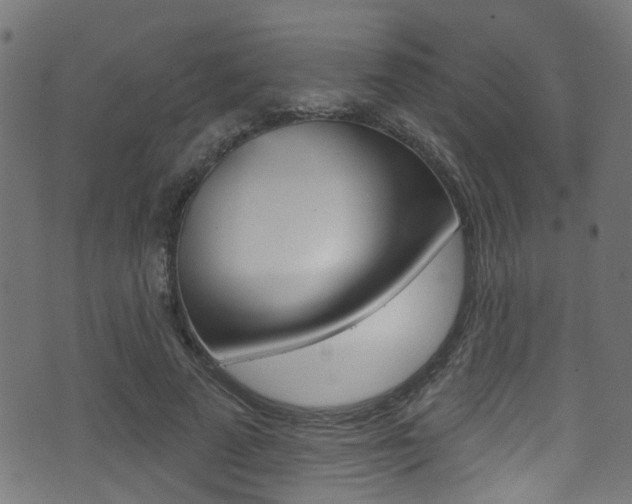 X0000071360689200606230838
