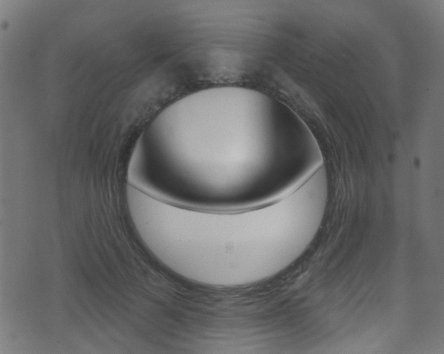 X0000071360697200606230838