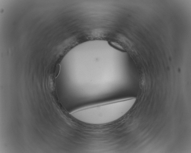 X0000071360715200606230838