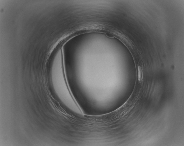 X0000071360723200606230837