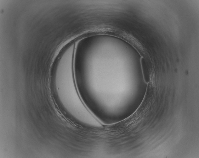 X0000071360724200606230837