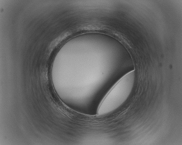 X0000071360727200606230837