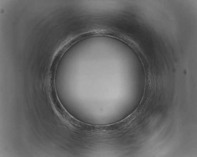 X0000071360730200606230837