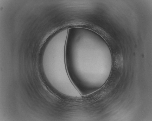 X0000071360732200606230837