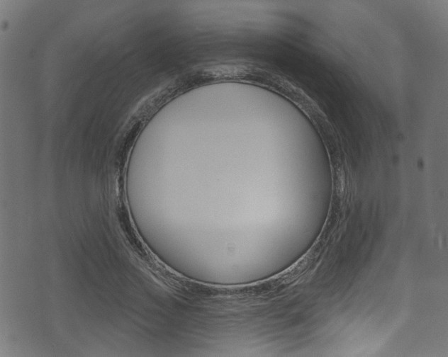 X0000071360733200606230837