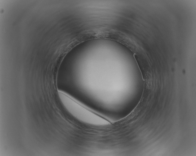 X0000071360748200606230837