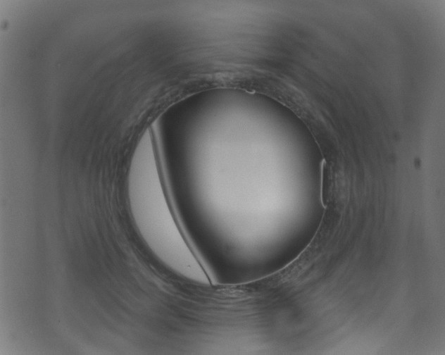 X0000071360750200606230837