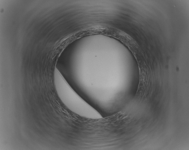 X0000071360773200606230837