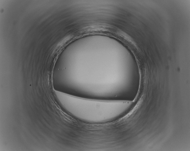 X0000071360777200606230837