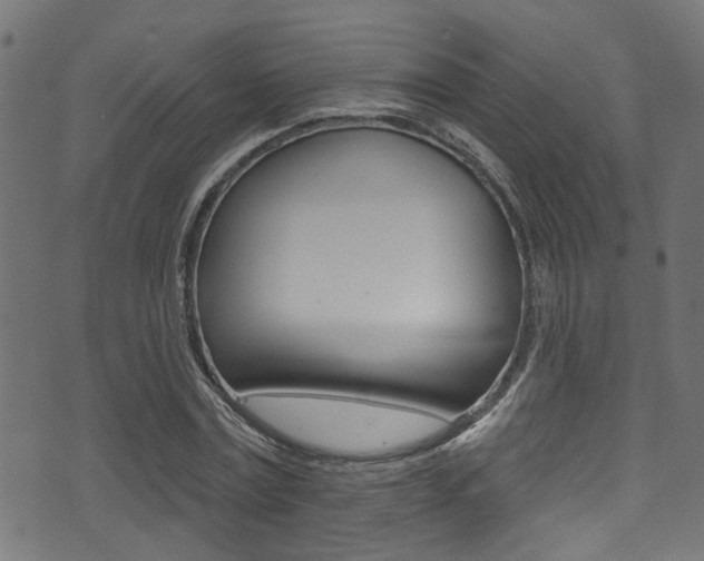 X0000071360779200606230837