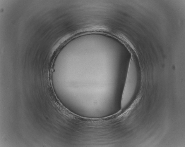 X0000071360781200606230836