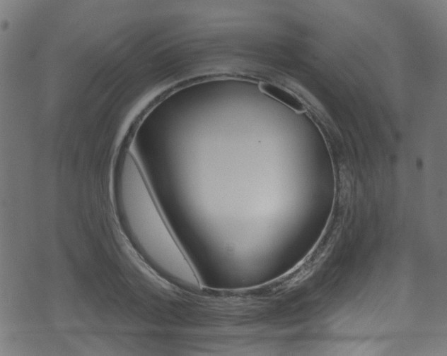 X0000071360788200606230836