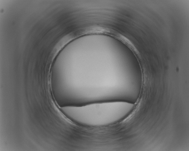 X0000071360802200606230836