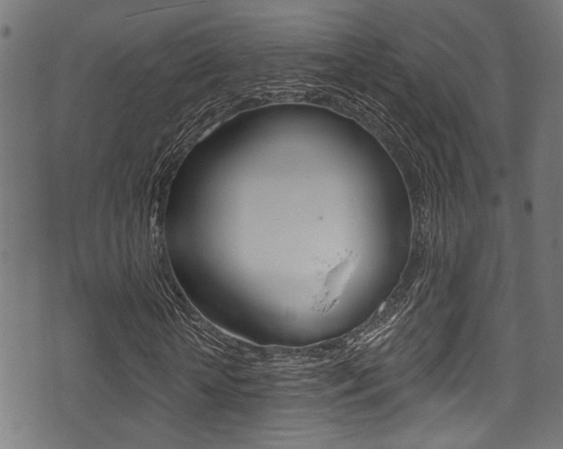 X0000071360818200606230835