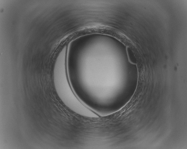 X0000071360822200606230835