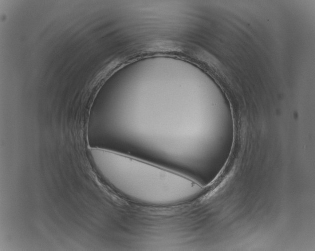 X0000071360833200606230835