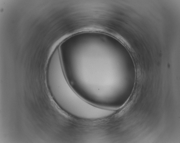 X0000071360854200606230836