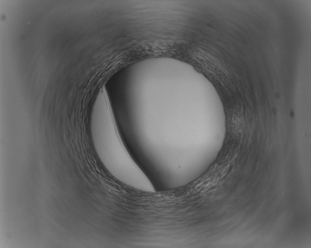 X0000071360865200606230835