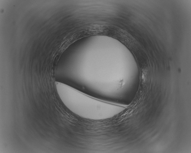 X0000071360867200606230835