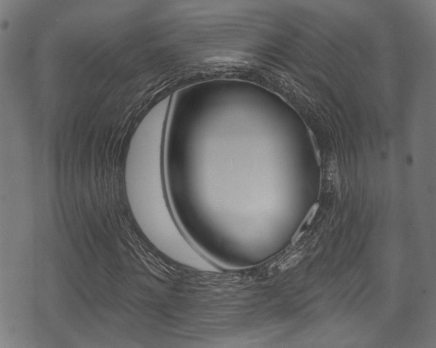 X0000071360868200606230835