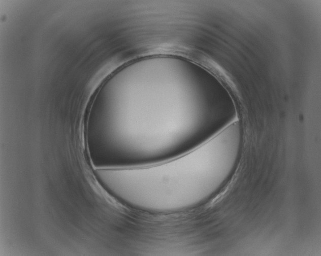 X0000071360892200606230835