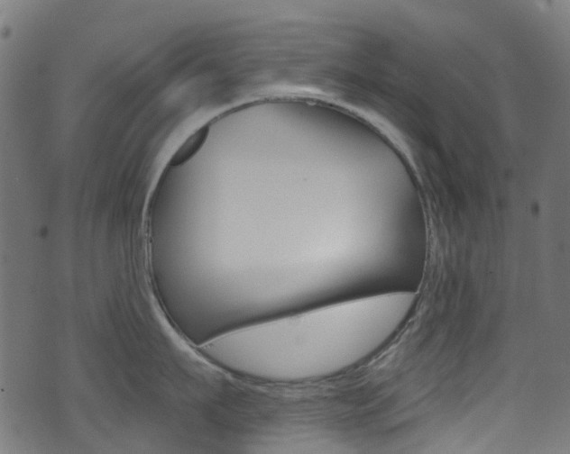 X0000071360911200606230834