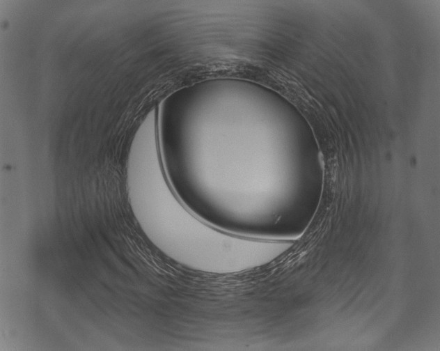 X0000071360916200606230834