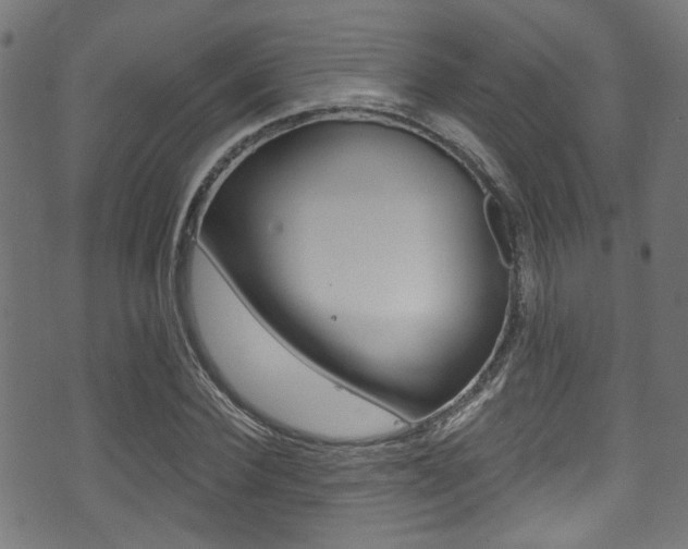 X0000071360924200606230834