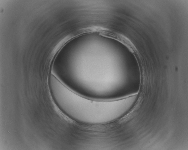 X0000071360946200606230834