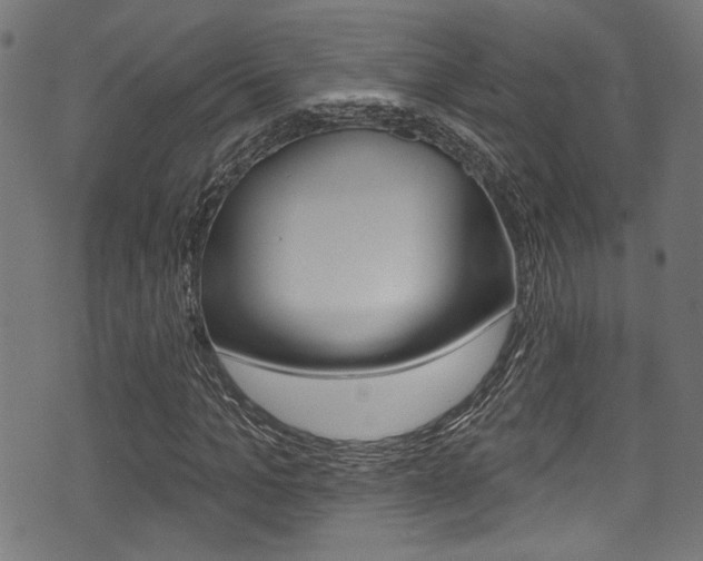 X0000071360965200606230834