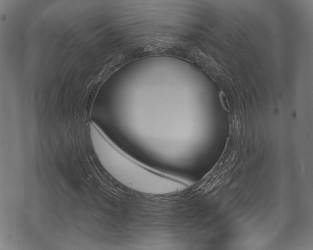 X0000071361012200606230832