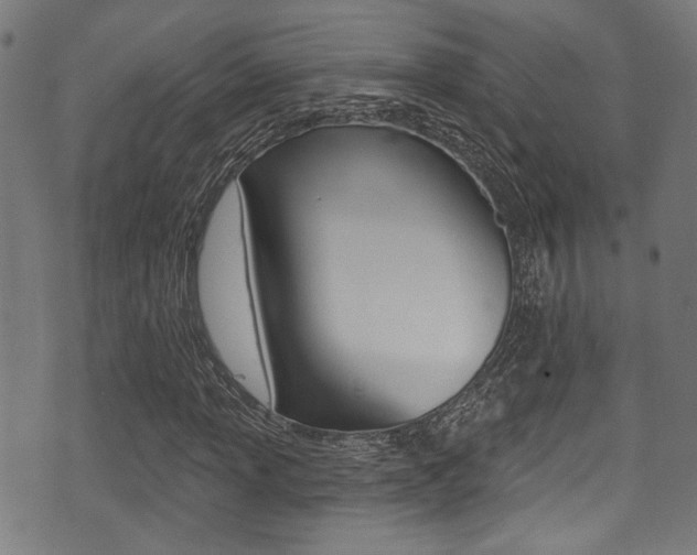 X0000071361013200606230832