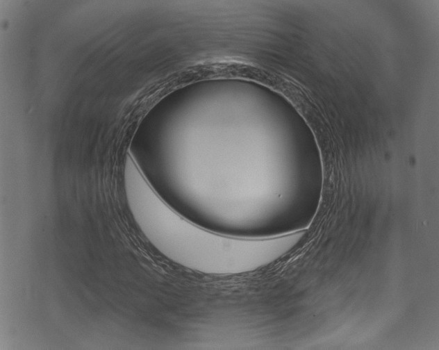 X0000071361014200606230832