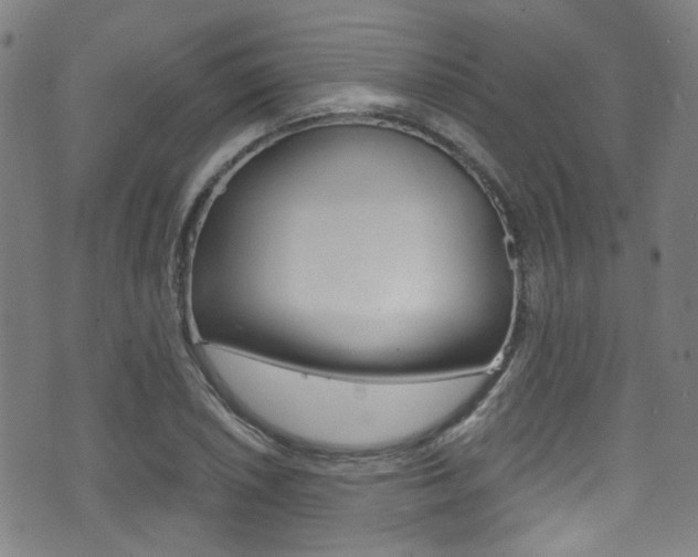 X0000071361026200606230832